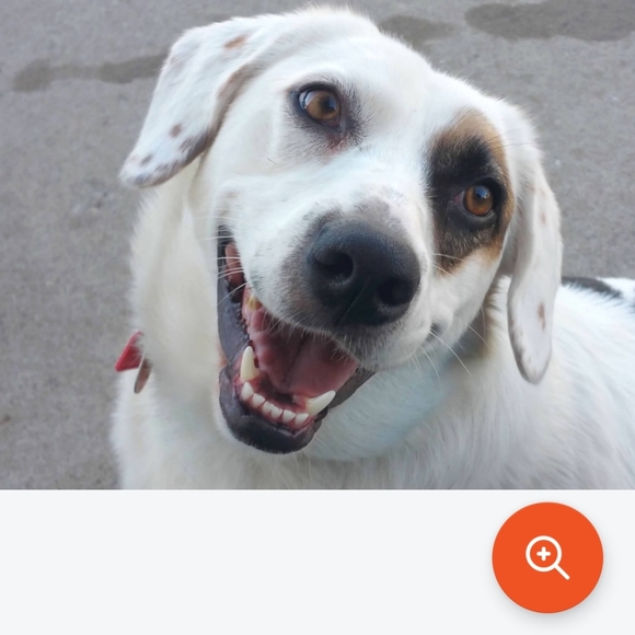 Meet your Posher, Kristy - Picture 3 of 3